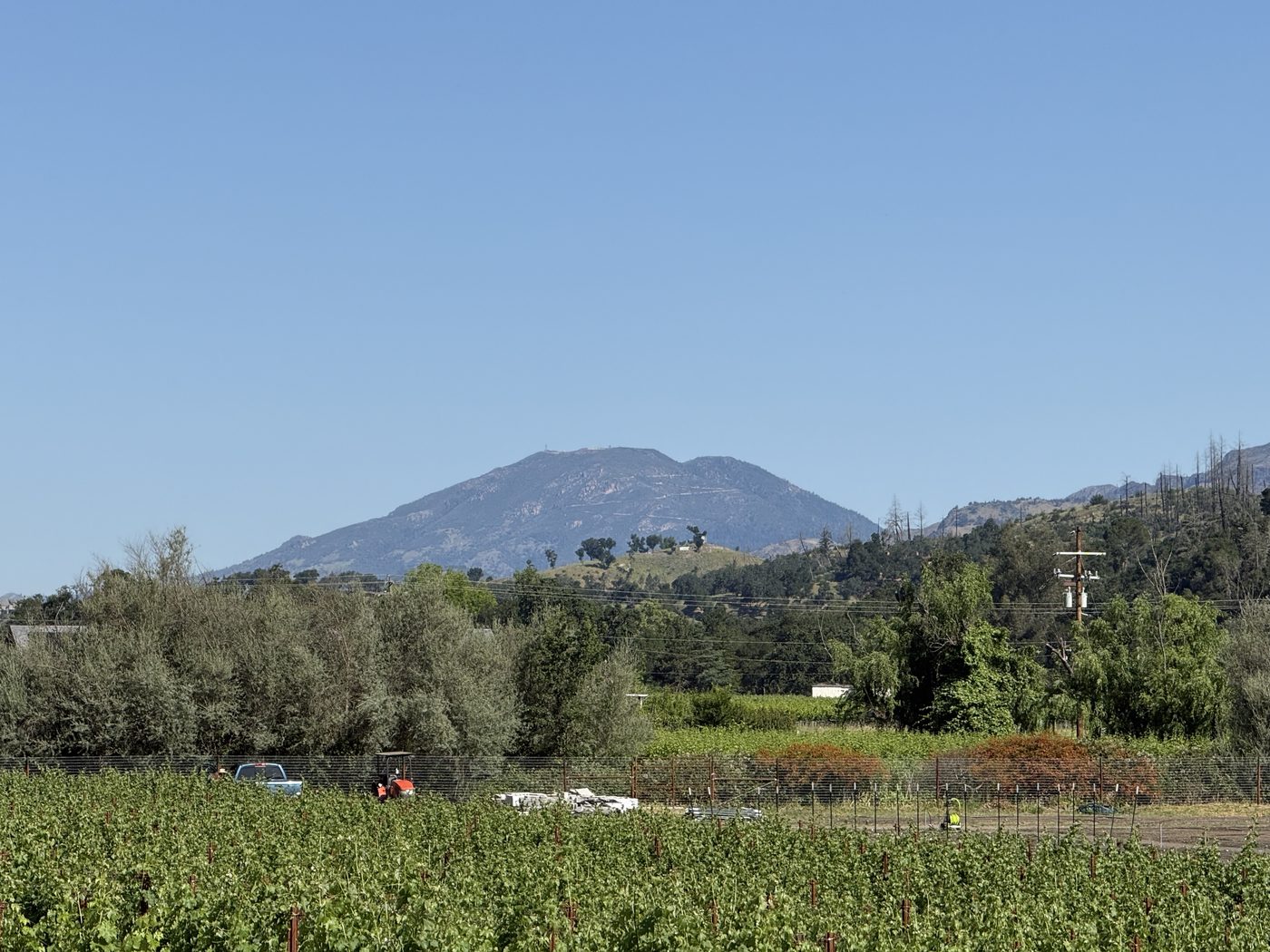 Napa Valley